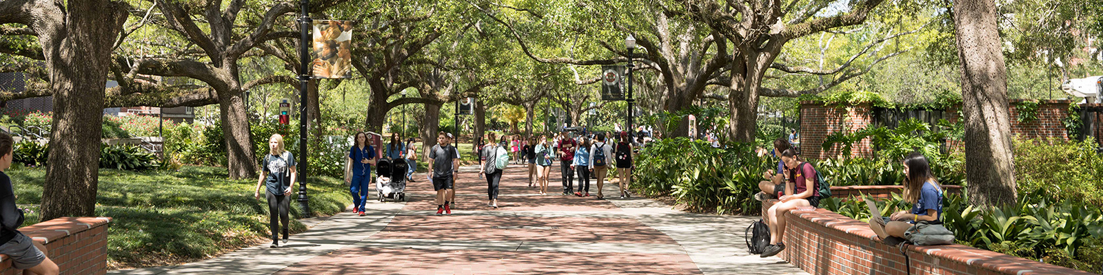 Top Business College in Florida