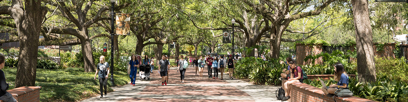 Legacy Walk FSU